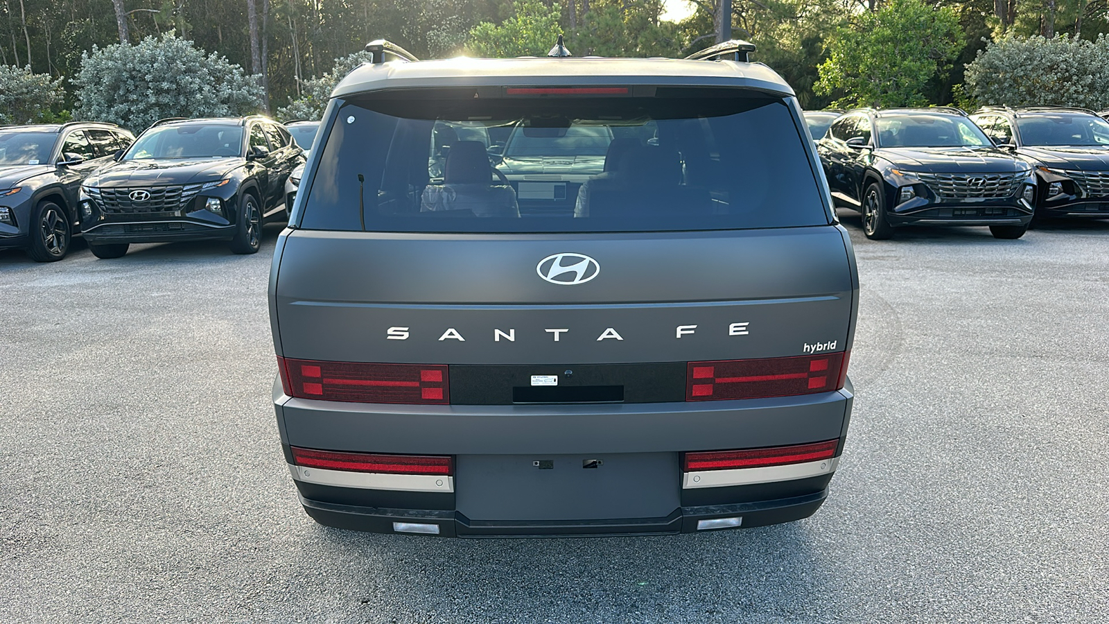 2025 Hyundai Santa Fe Hybrid Limited 6