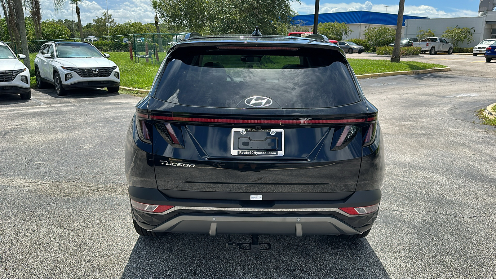 2024 Hyundai Tucson Limited 6