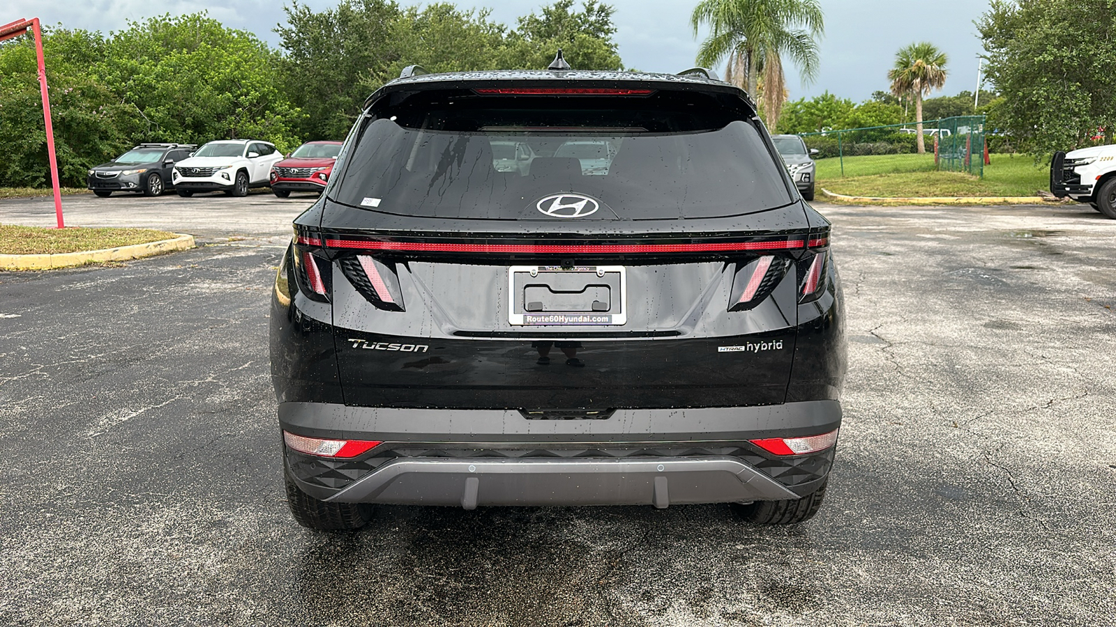 2024 Hyundai Tucson Hybrid Limited 6