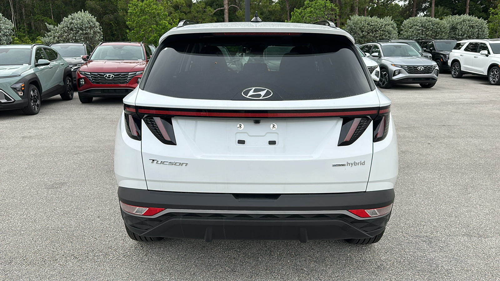 2024 Hyundai Tucson Hybrid SEL Convenience 6