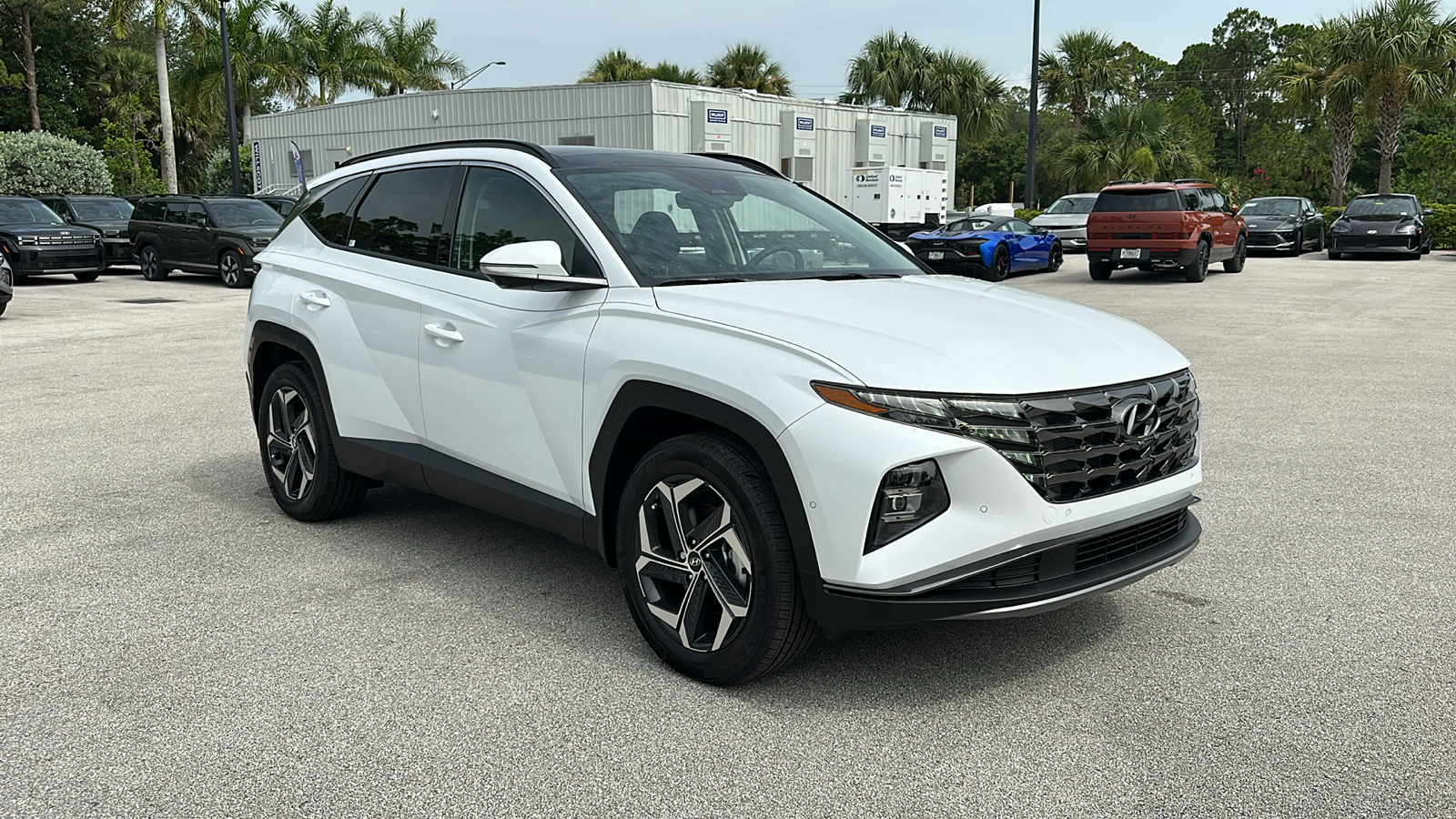 2024 Hyundai Tucson Hybrid Limited 1