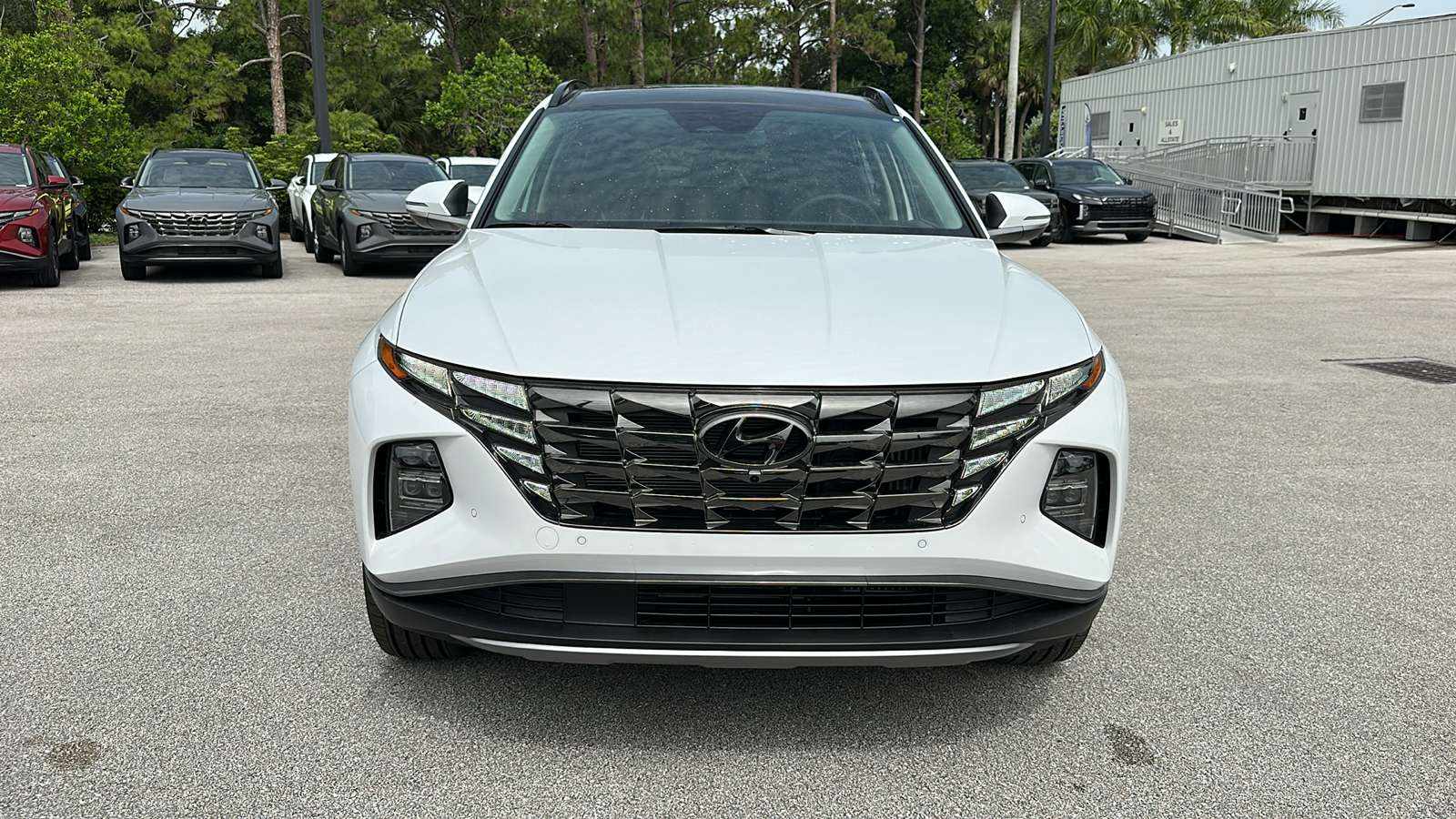 2024 Hyundai Tucson Hybrid Limited 2