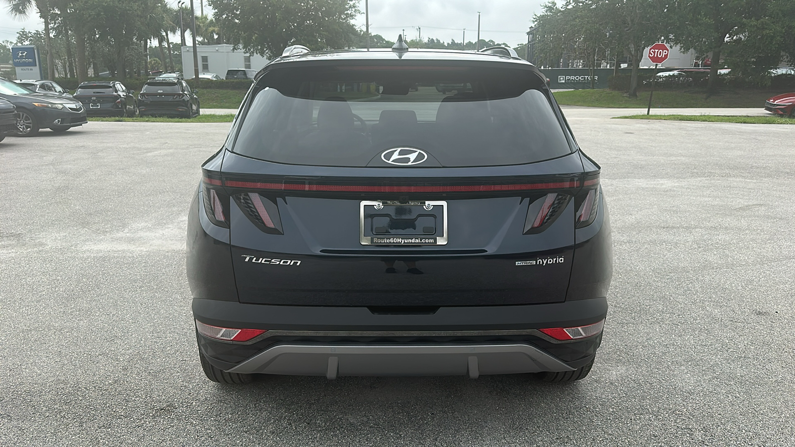 2024 Hyundai Tucson Hybrid Limited 6