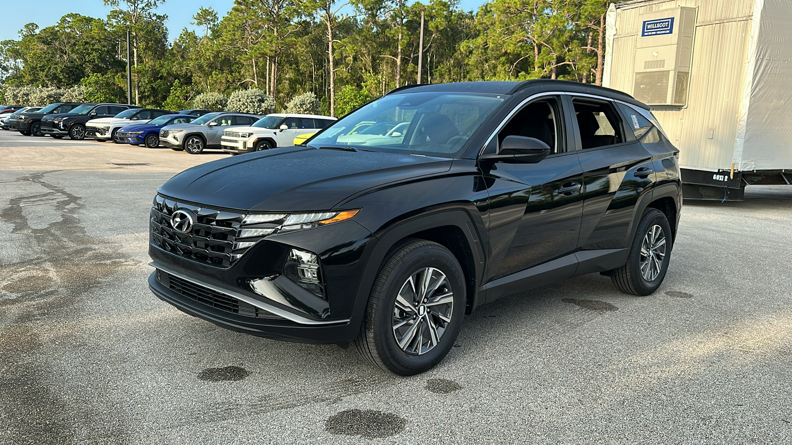 2024 Hyundai Tucson Hybrid Blue 3