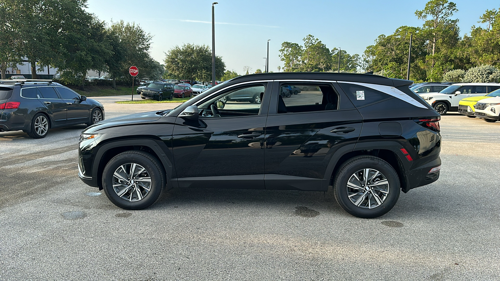 2024 Hyundai Tucson Hybrid Blue 4