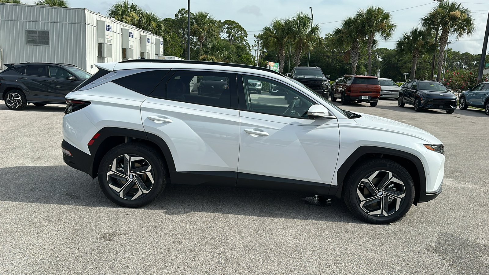 2024 Hyundai Tucson Hybrid Limited 8