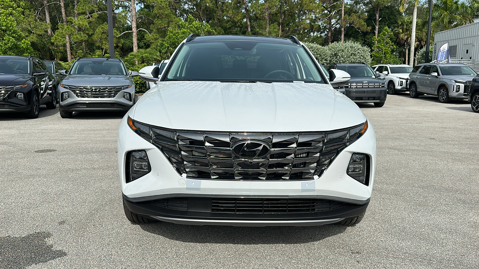 2024 Hyundai Tucson Hybrid Limited 2