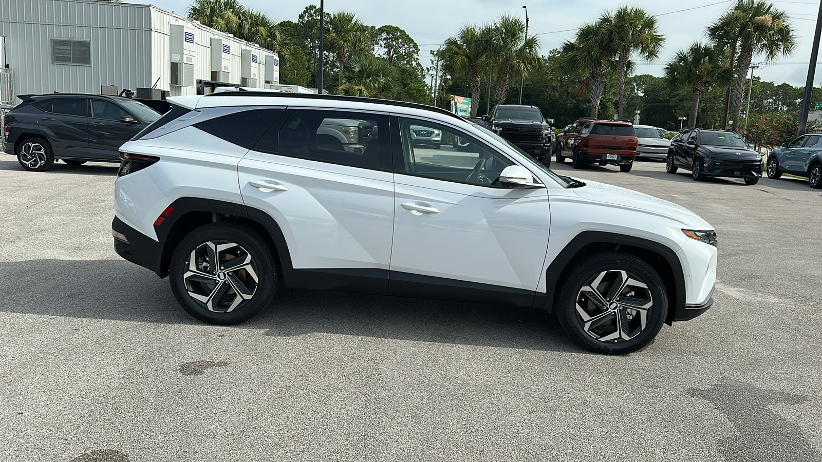 2024 Hyundai Tucson Hybrid Limited 8