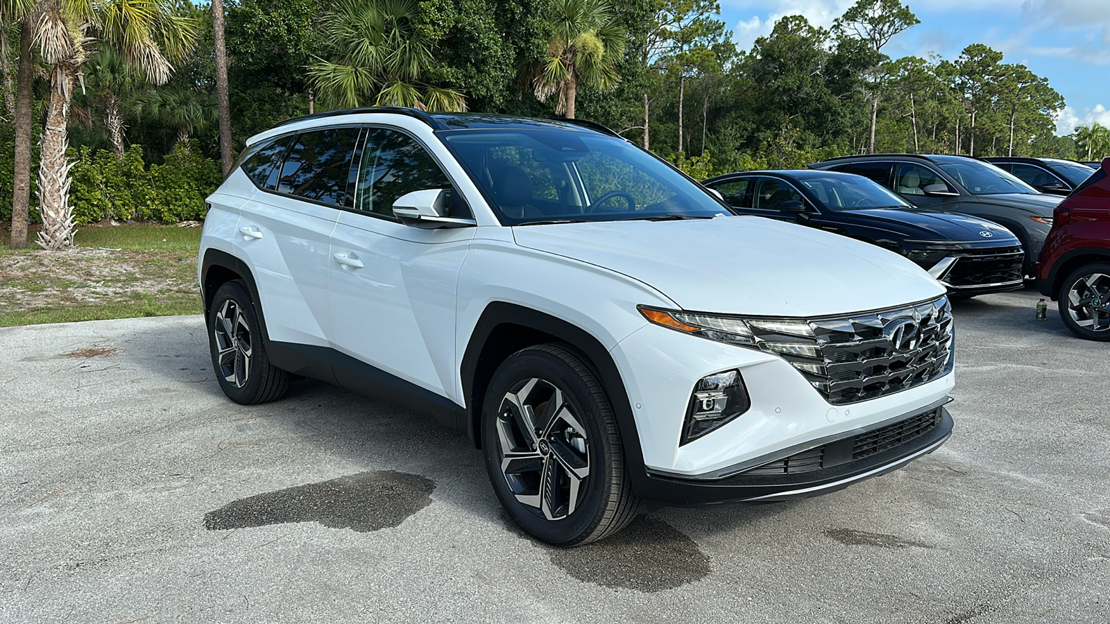 2024 Hyundai Tucson Hybrid Limited 1