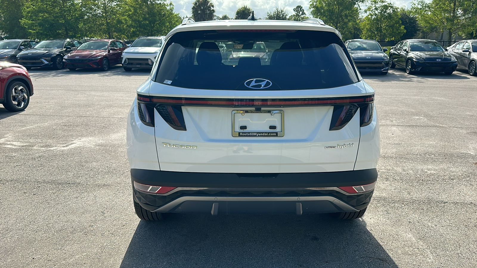 2024 Hyundai Tucson Hybrid Limited 6