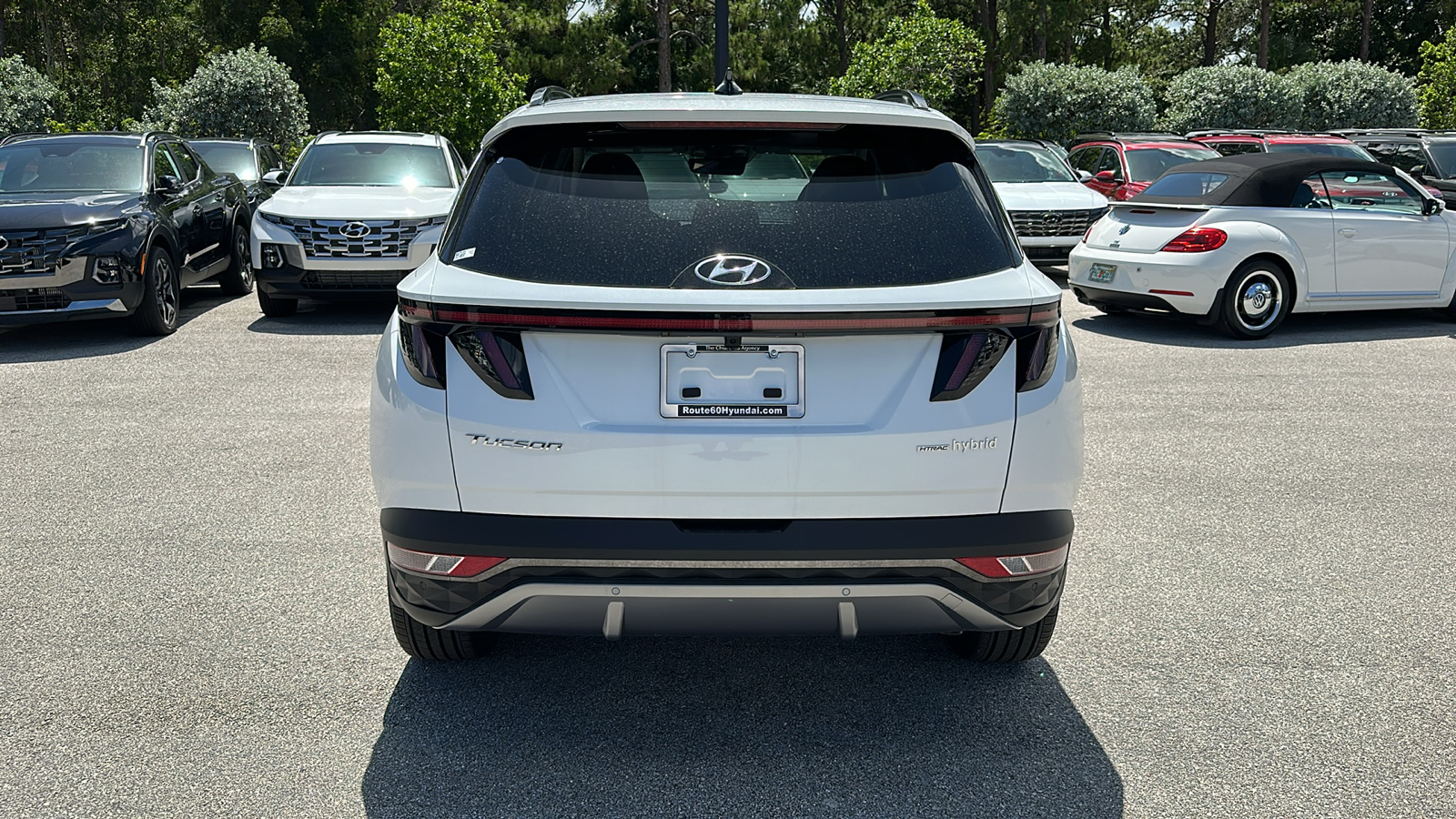 2024 Hyundai Tucson Hybrid Limited 6