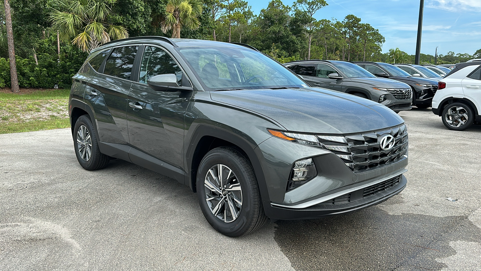 2024 Hyundai Tucson Hybrid Blue 1