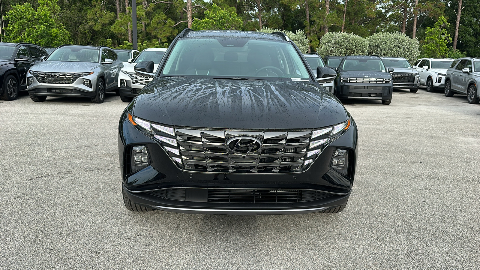 2024 Hyundai Tucson Hybrid Limited 2