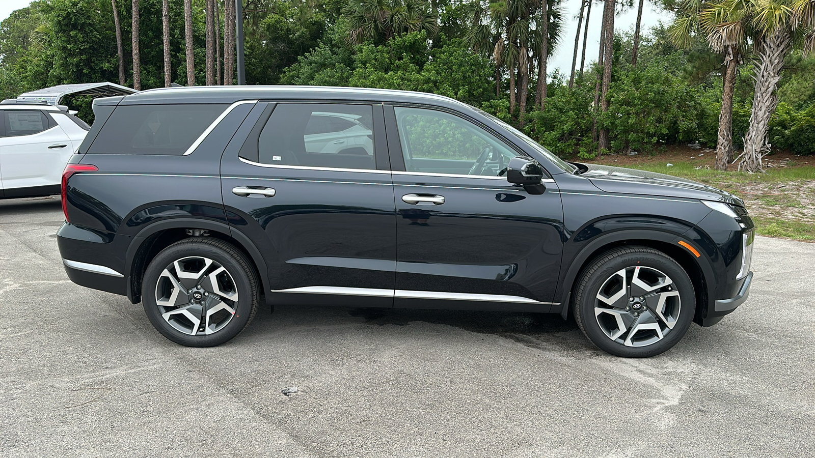 2024 Hyundai Palisade SEL 8