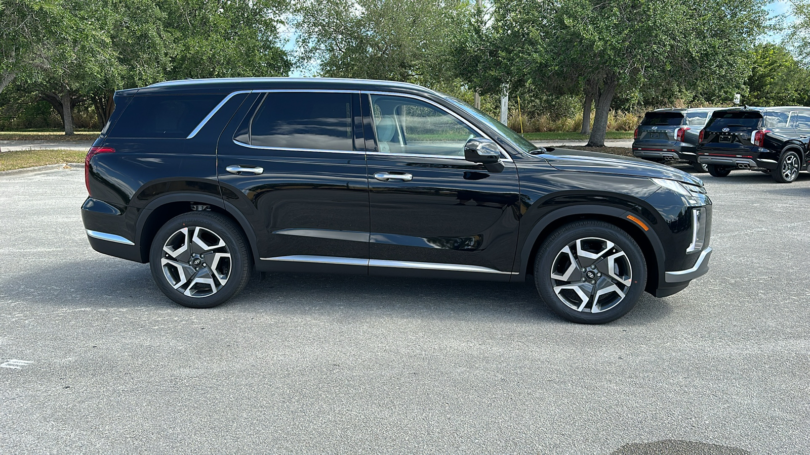 2024 Hyundai Palisade Limited 8