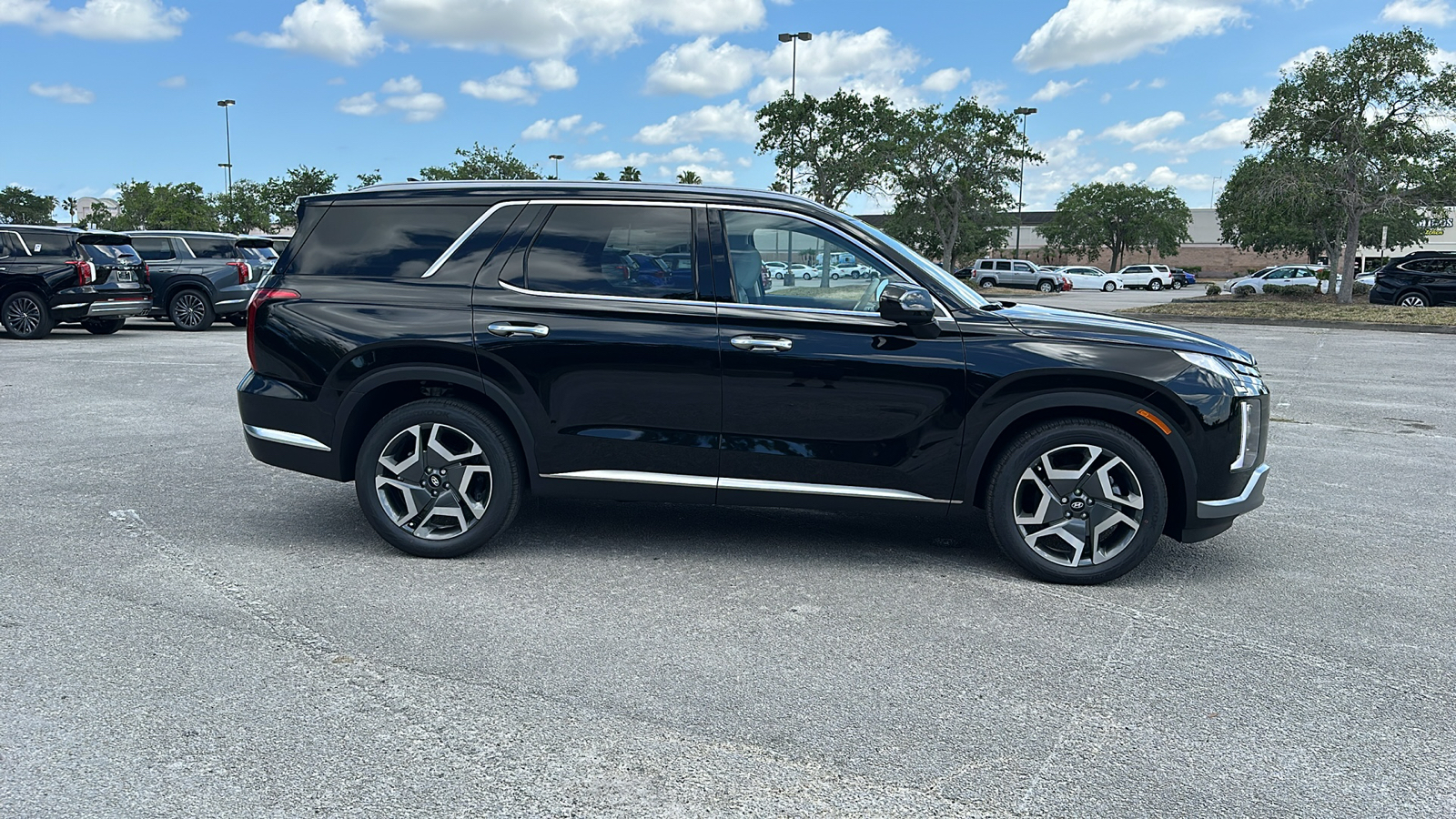 2024 Hyundai Palisade Limited 8