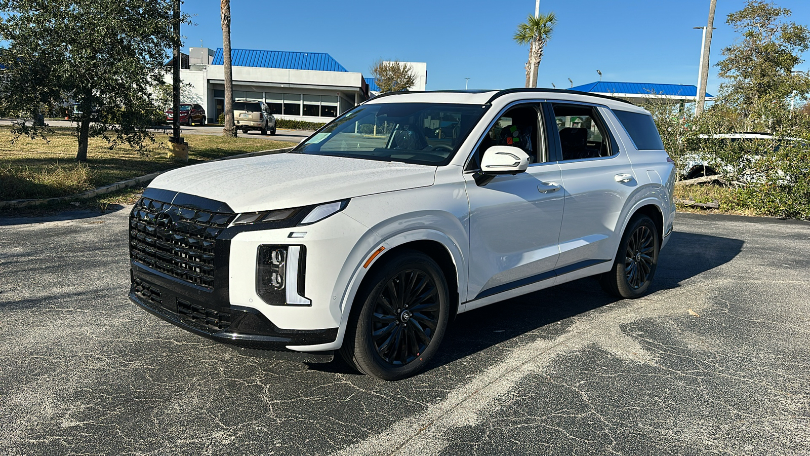 2025 Hyundai Palisade Calligraphy Night Edition 3