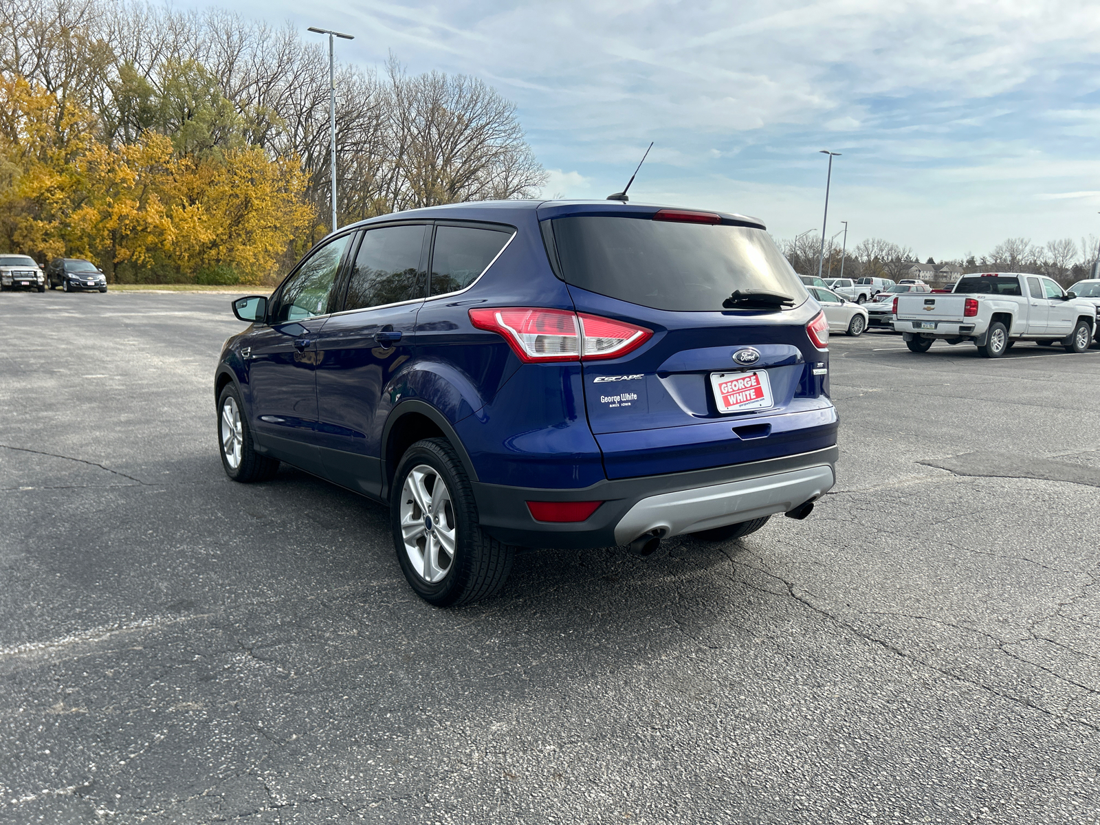 2014 Ford Escape SE 6