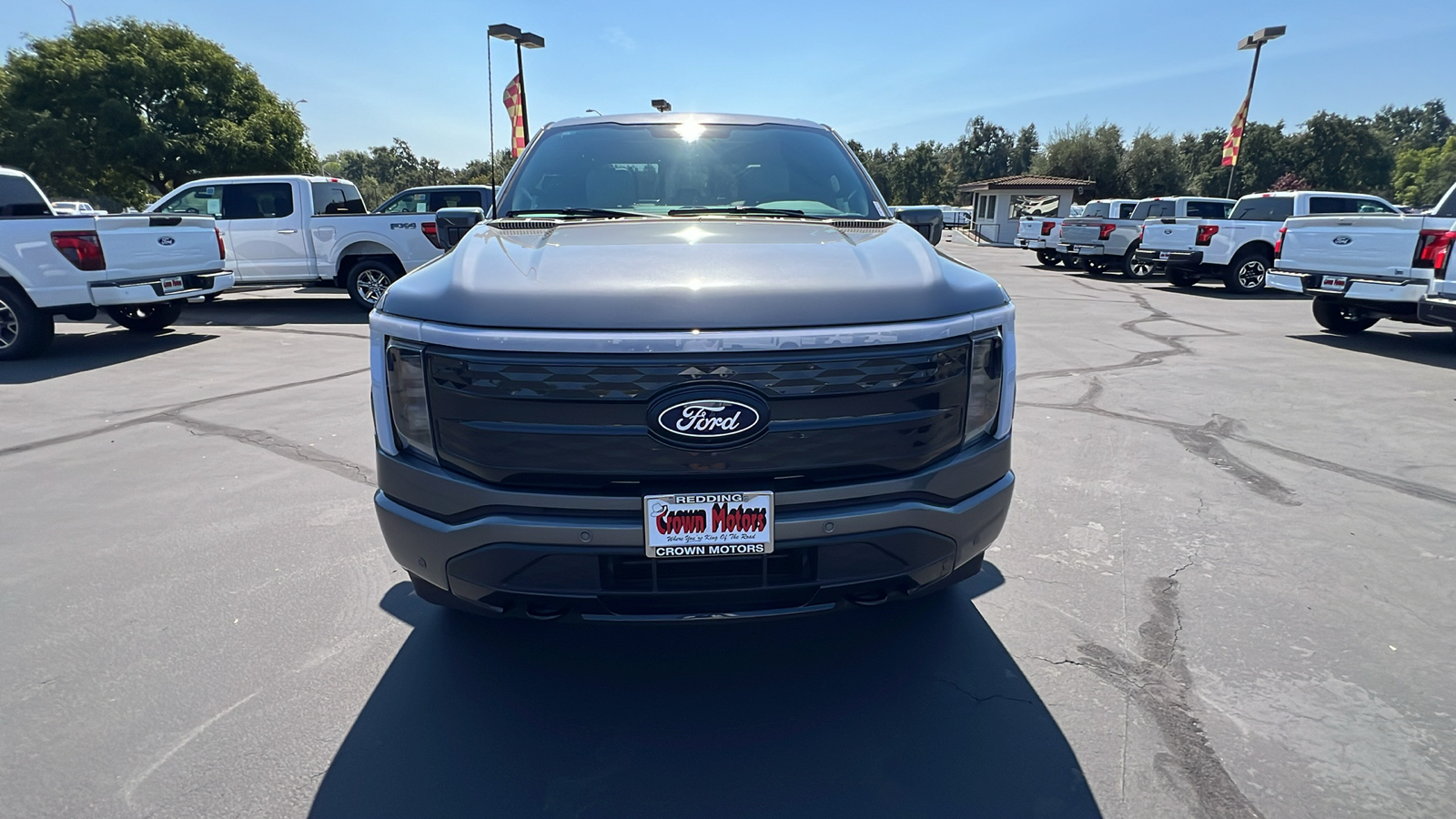 2024 Ford F-150 Lightning Platinum 9