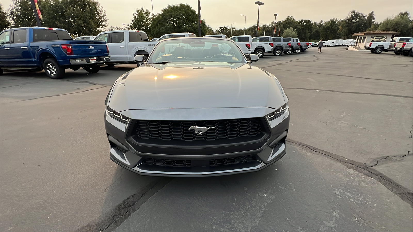 2024 Ford Mustang EcoBoost 9