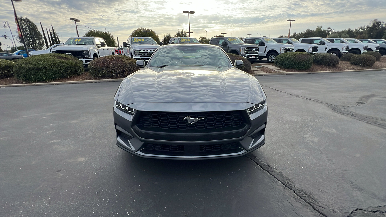 2024 Ford Mustang EcoBoost 9