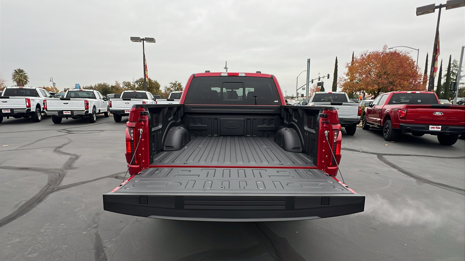 2024 Ford F-150 XLT 6