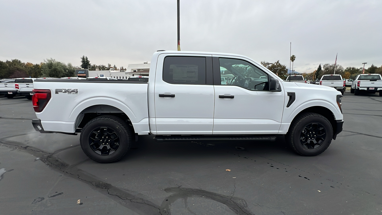 2024 Ford F-150 STX 3