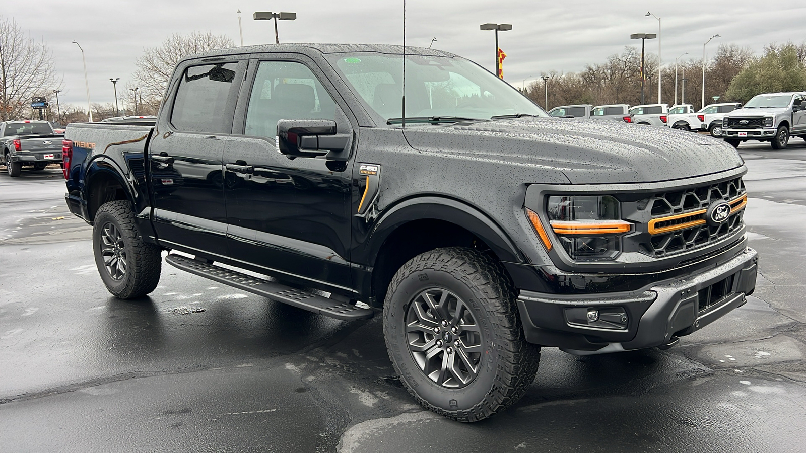 2024 Ford F-150 Tremor 2