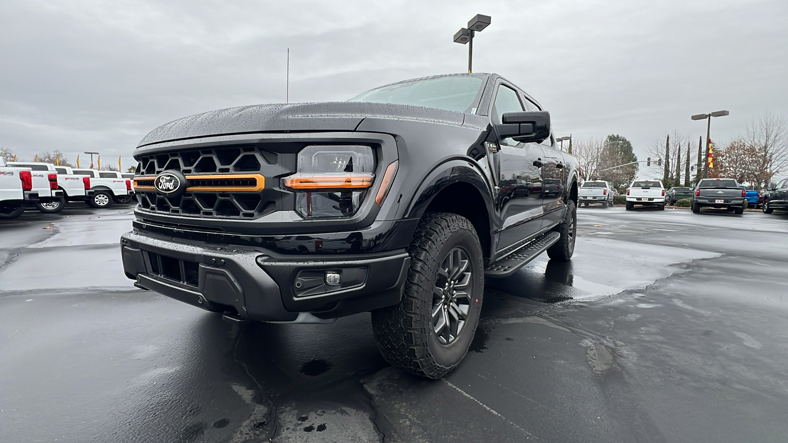 2024 Ford F-150 Tremor 10