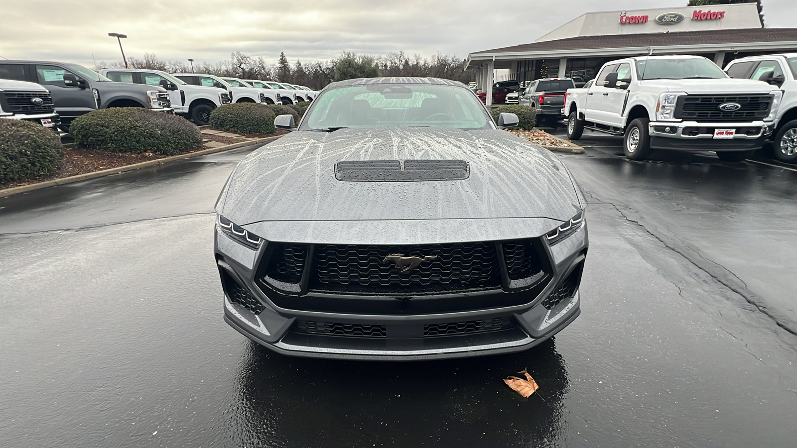 2025 Ford Mustang GT 9