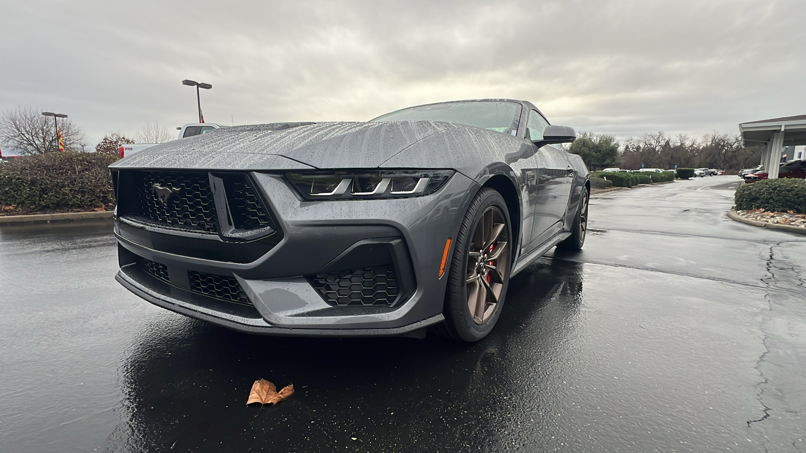 2025 Ford Mustang GT 10