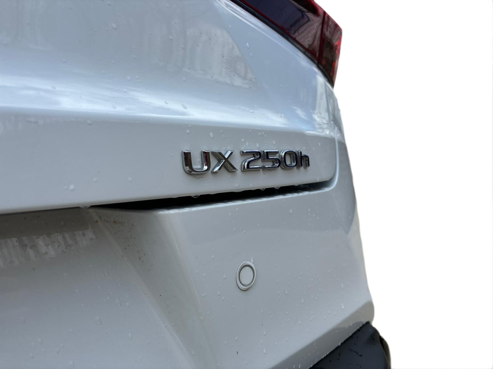 2021 Lexus UX UX 250h F SPORT 7
