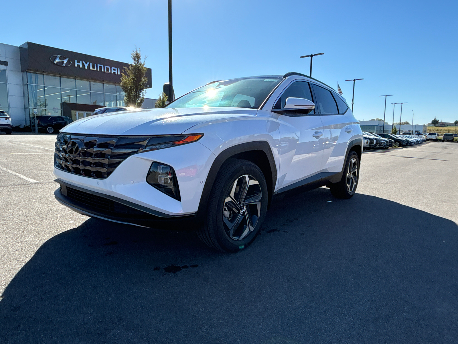 2024 Hyundai Tucson Hybrid Limited 1