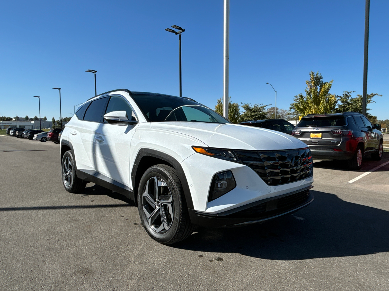 2024 Hyundai Tucson Hybrid Limited 5