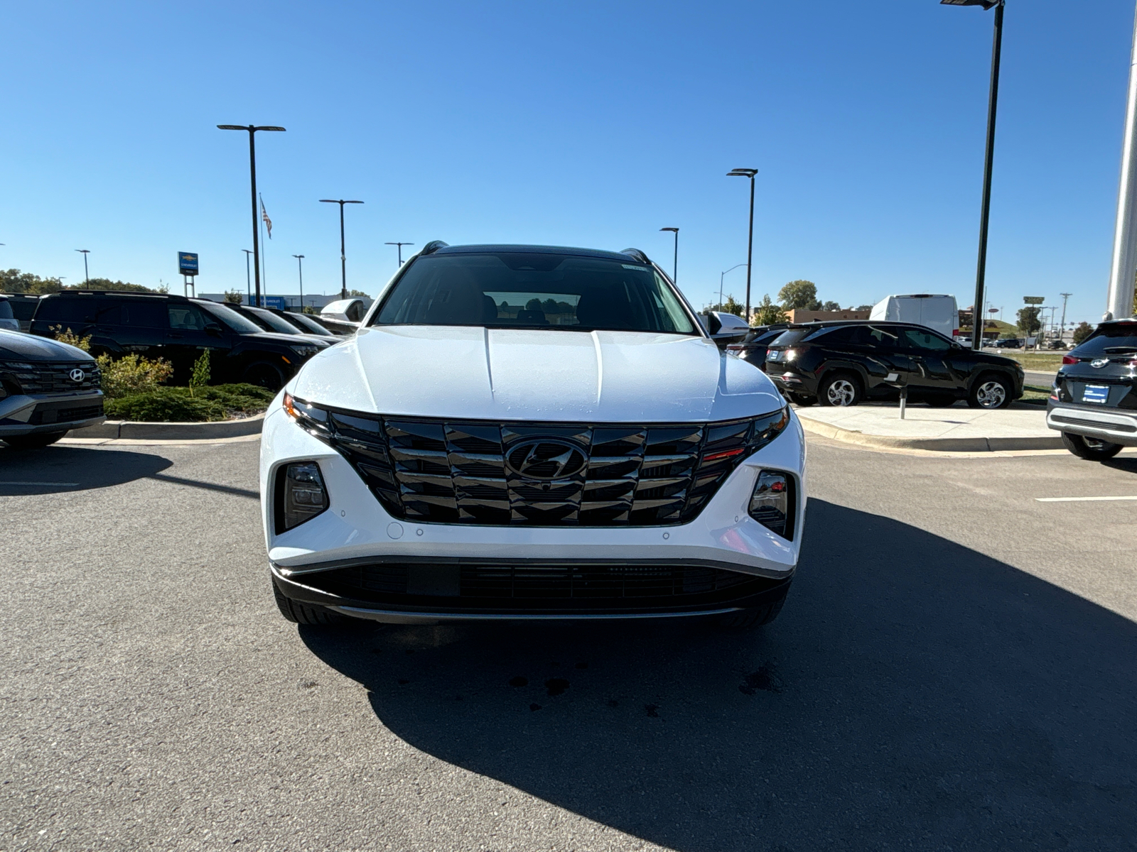 2024 Hyundai Tucson Hybrid Limited 6