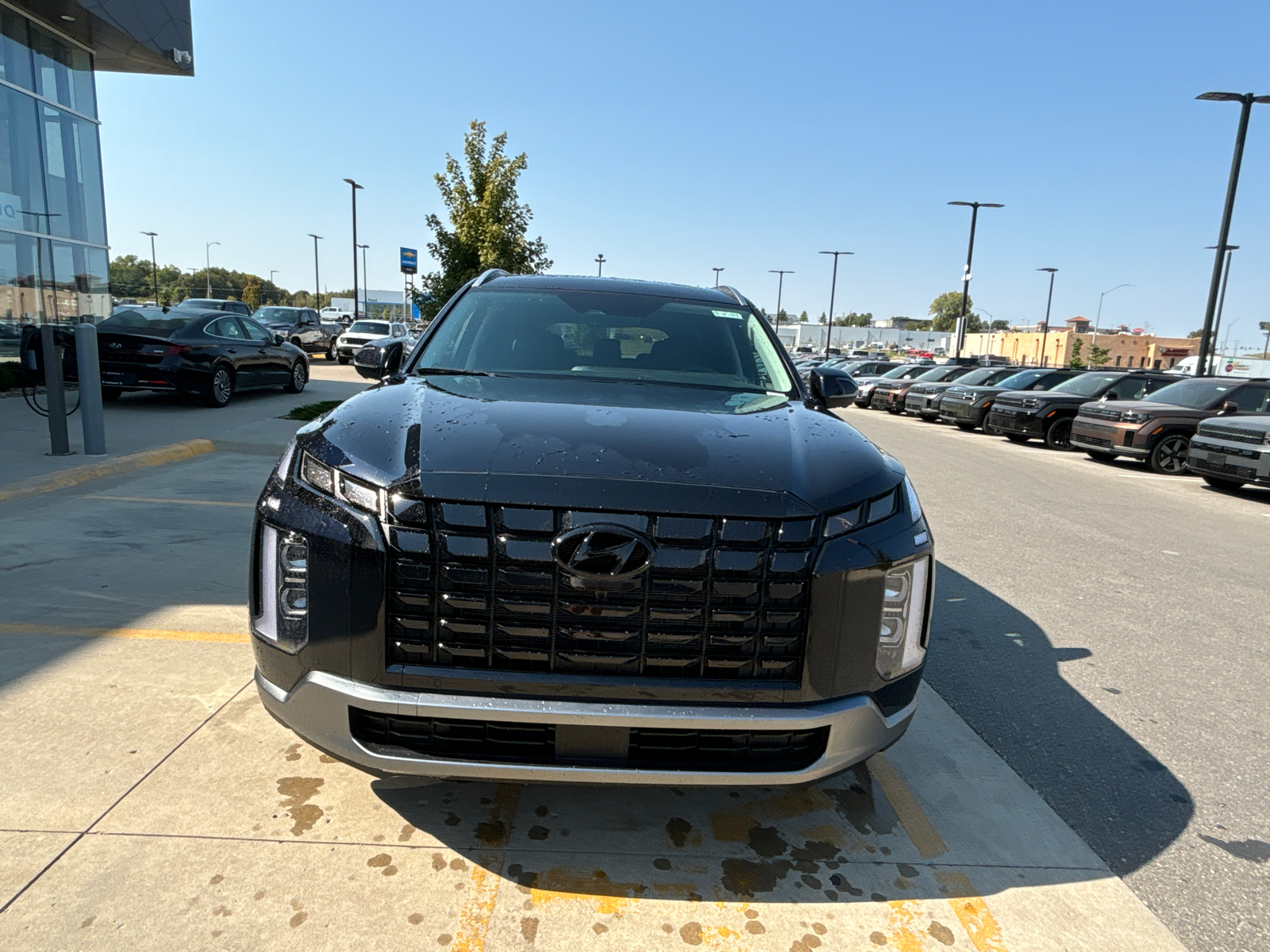 2025 Hyundai Palisade SEL Premium 6