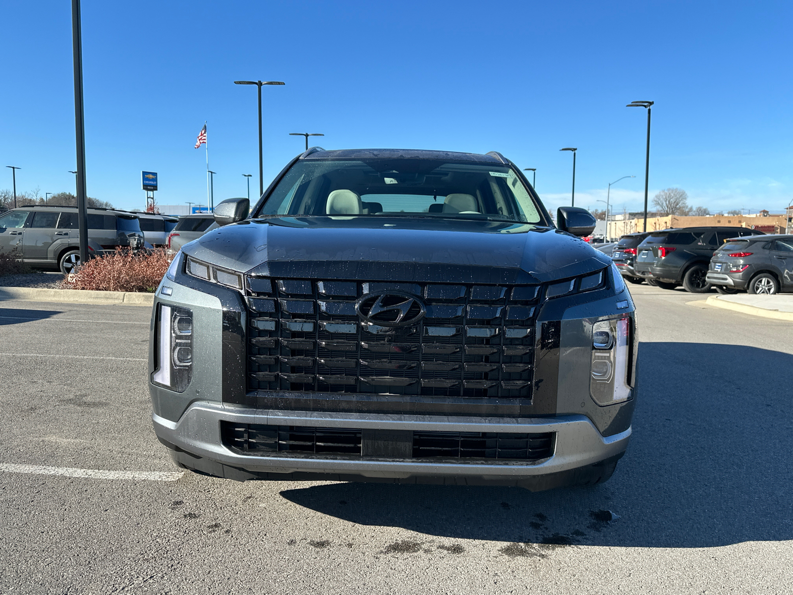 2025 Hyundai Palisade Limited 6