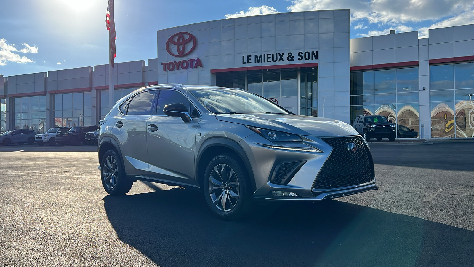 2019 Lexus NX 300 F Sport 1