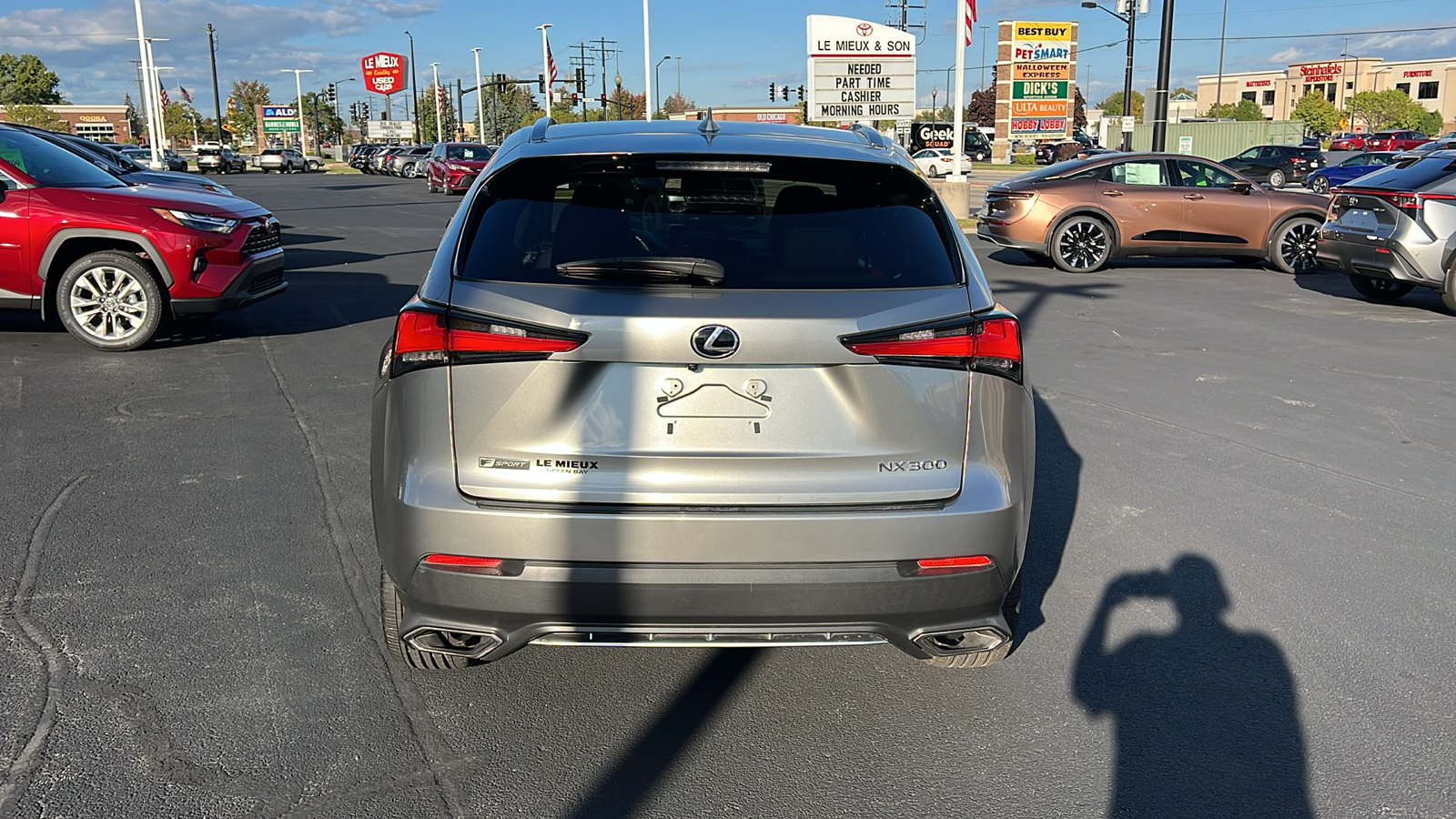 2019 Lexus NX 300 F Sport 4