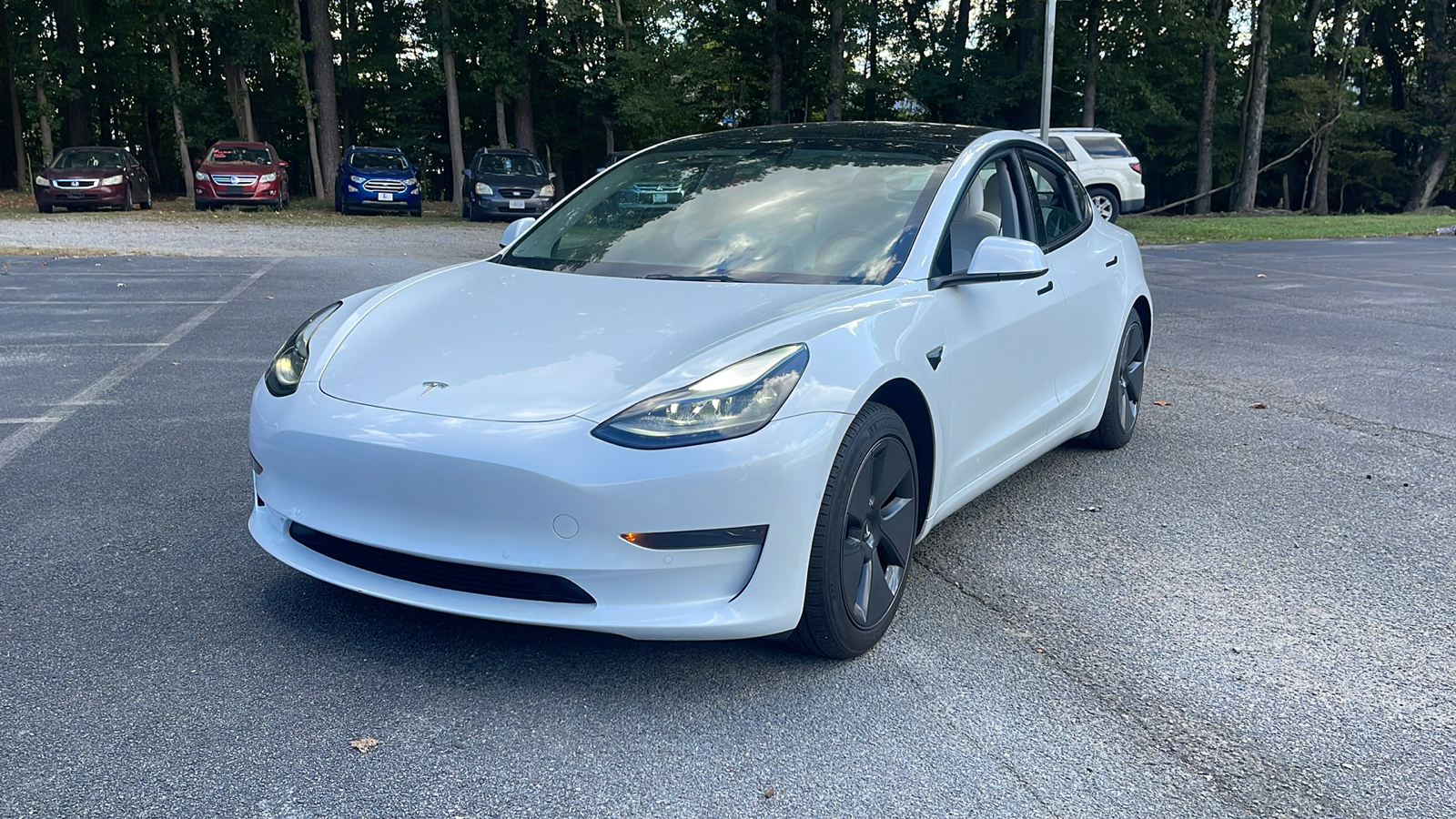 2021 Tesla Model 3 Standard Range Plus 3