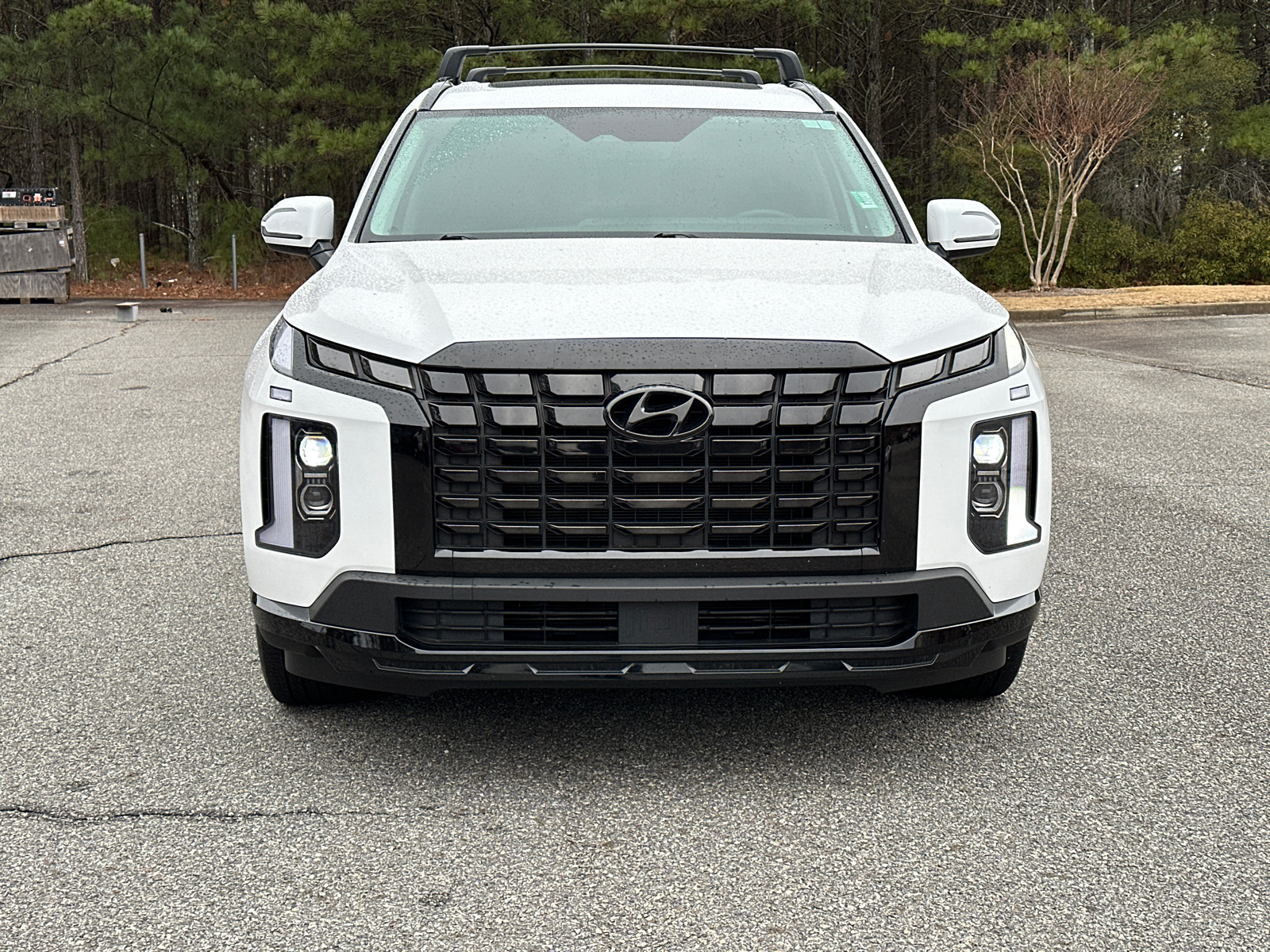 2024 Hyundai Palisade XRT 2