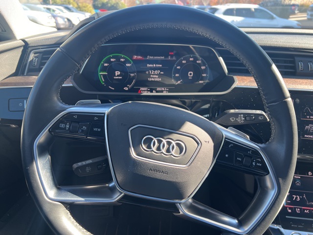 2019 Audi e-tron Premium Plus 15