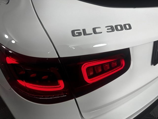 2021 Mercedes-Benz GLC GLC 300 13