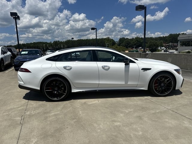 2024 Mercedes-Benz AMG GT 53 Base 13