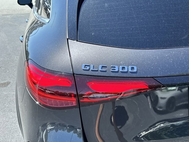 2024 Mercedes-Benz GLC GLC 300 10