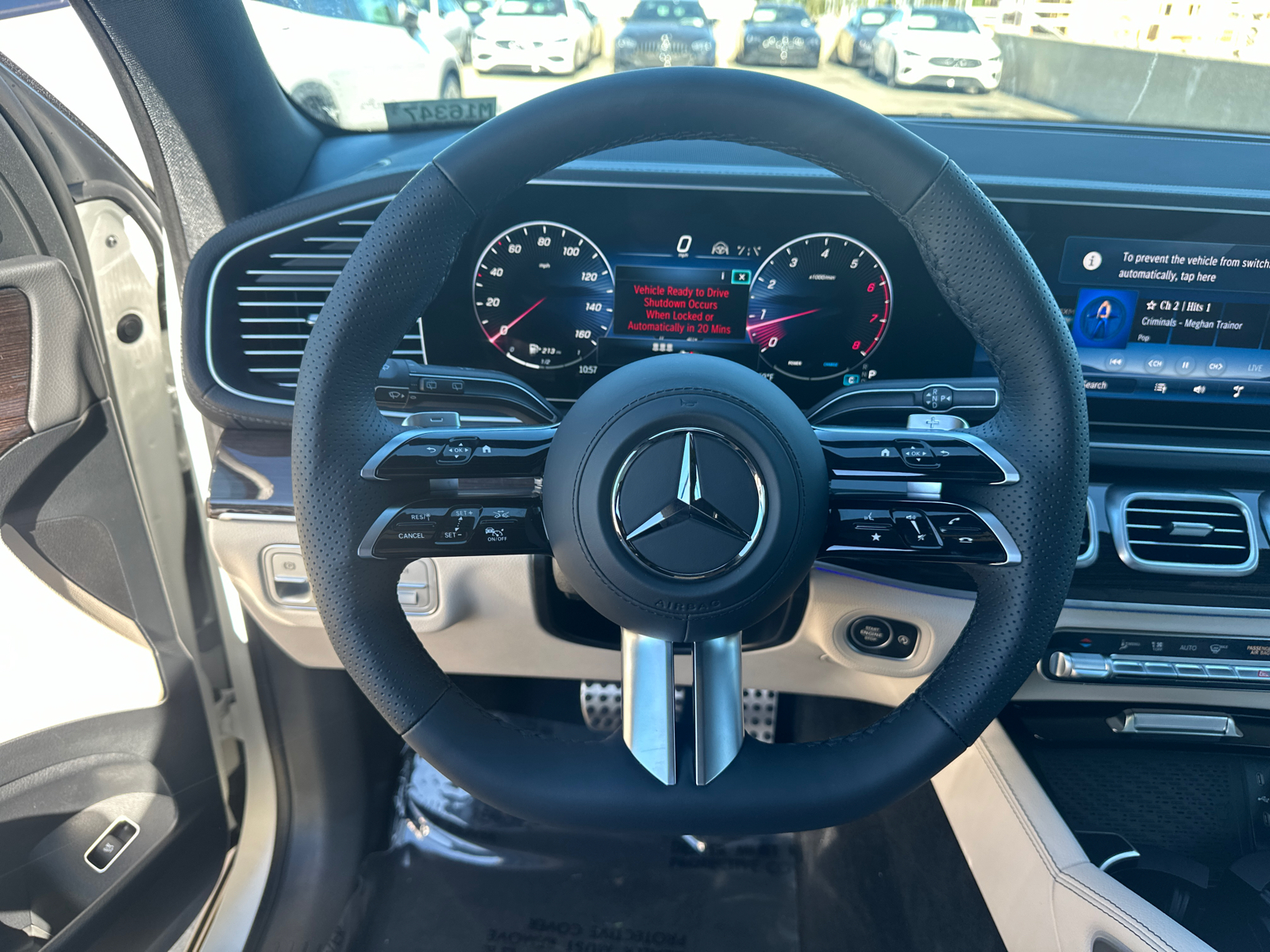 2025 Mercedes-Benz GLS GLS 450 29