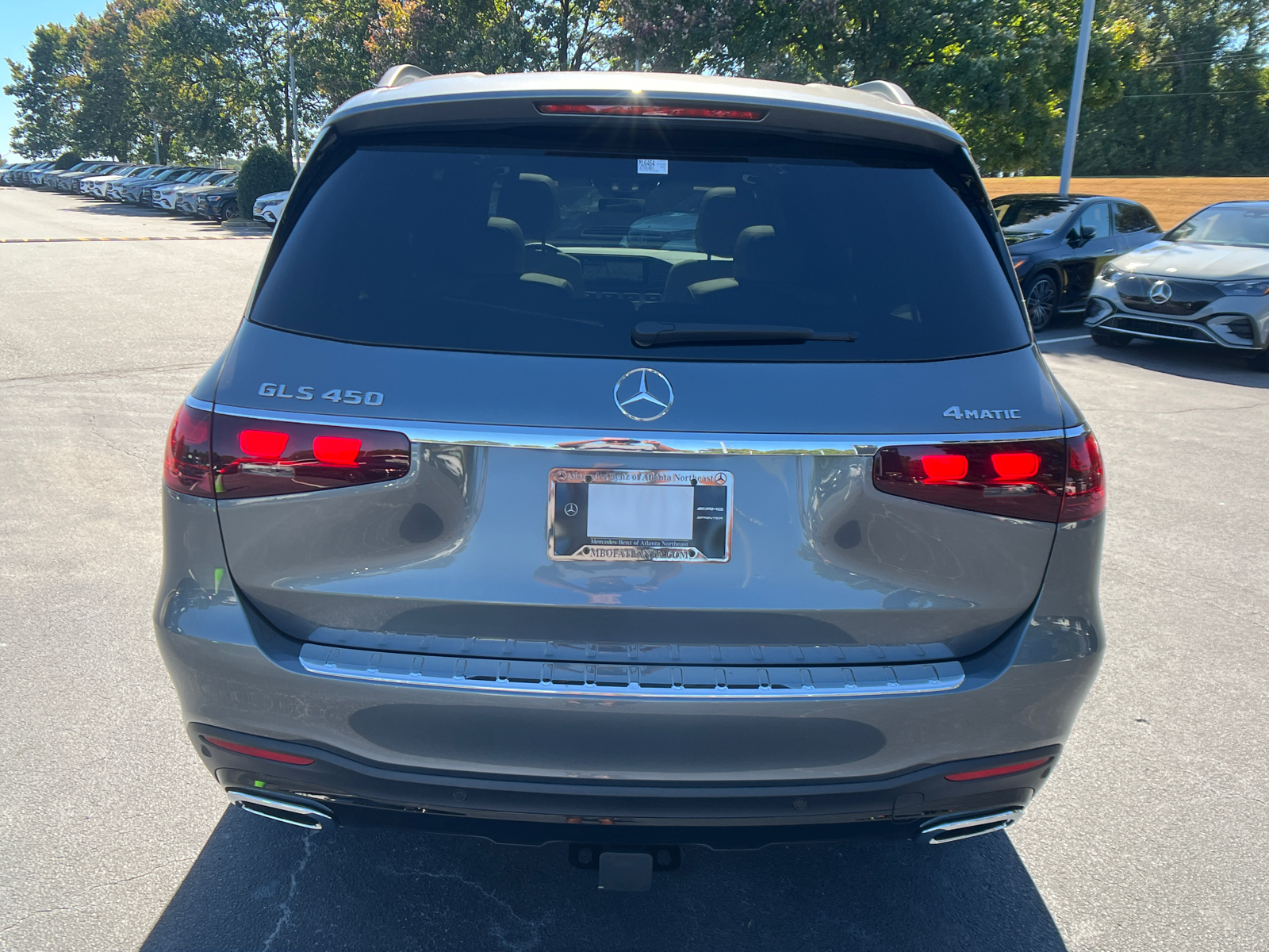 2025 Mercedes-Benz GLS GLS 450 6