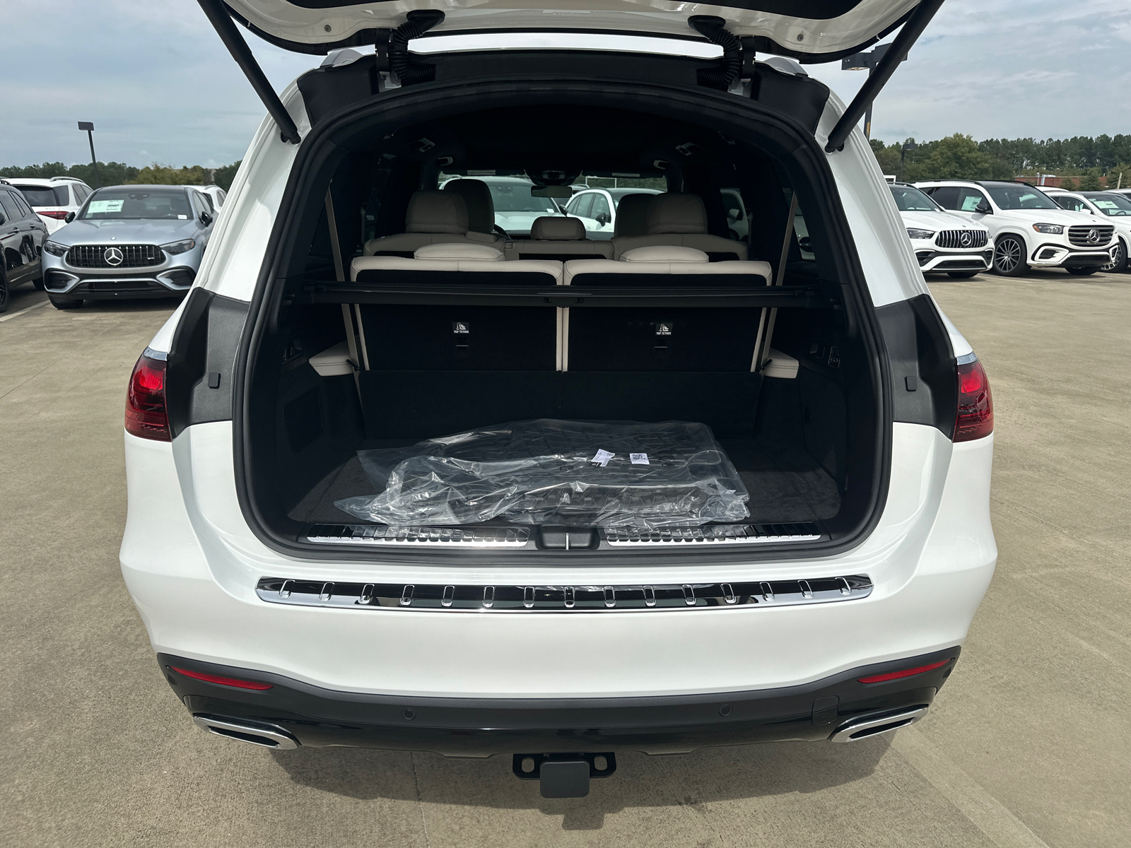 2025 Mercedes-Benz GLS GLS 450 21