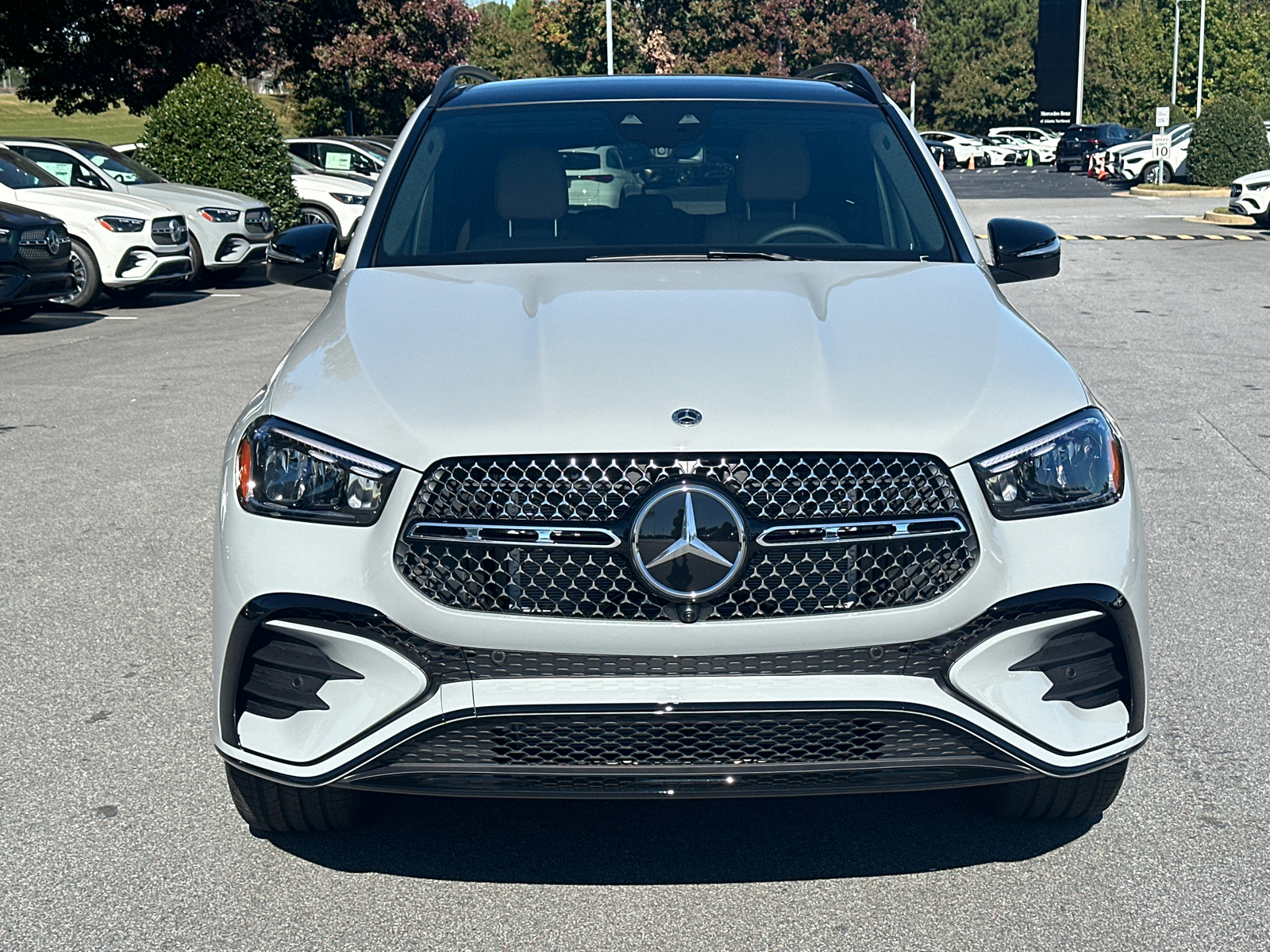 2025 Mercedes-Benz GLE GLE 450e 3