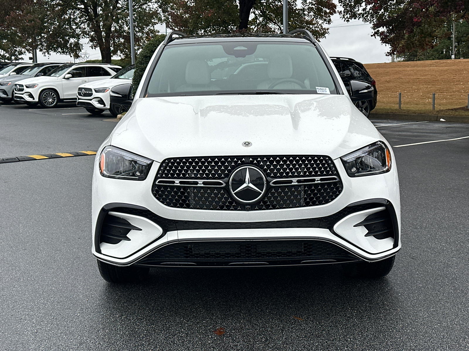 2025 Mercedes-Benz GLE GLE 350 3